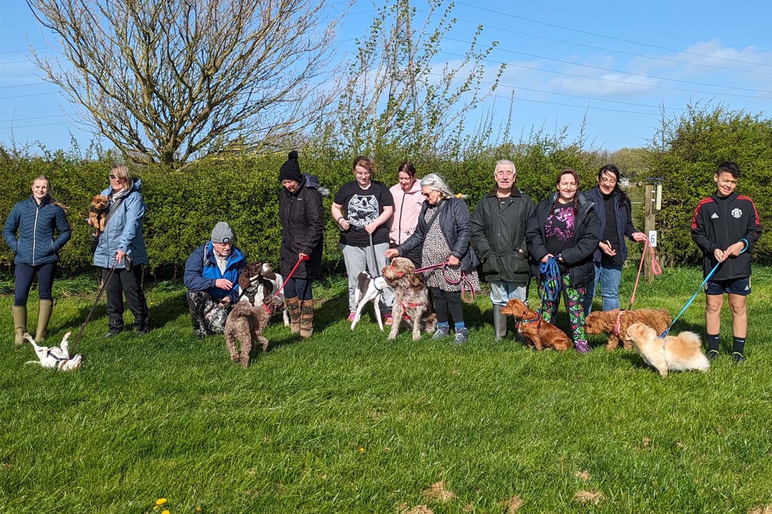 Happy Hounds Breakfast Club new at Penny Farm