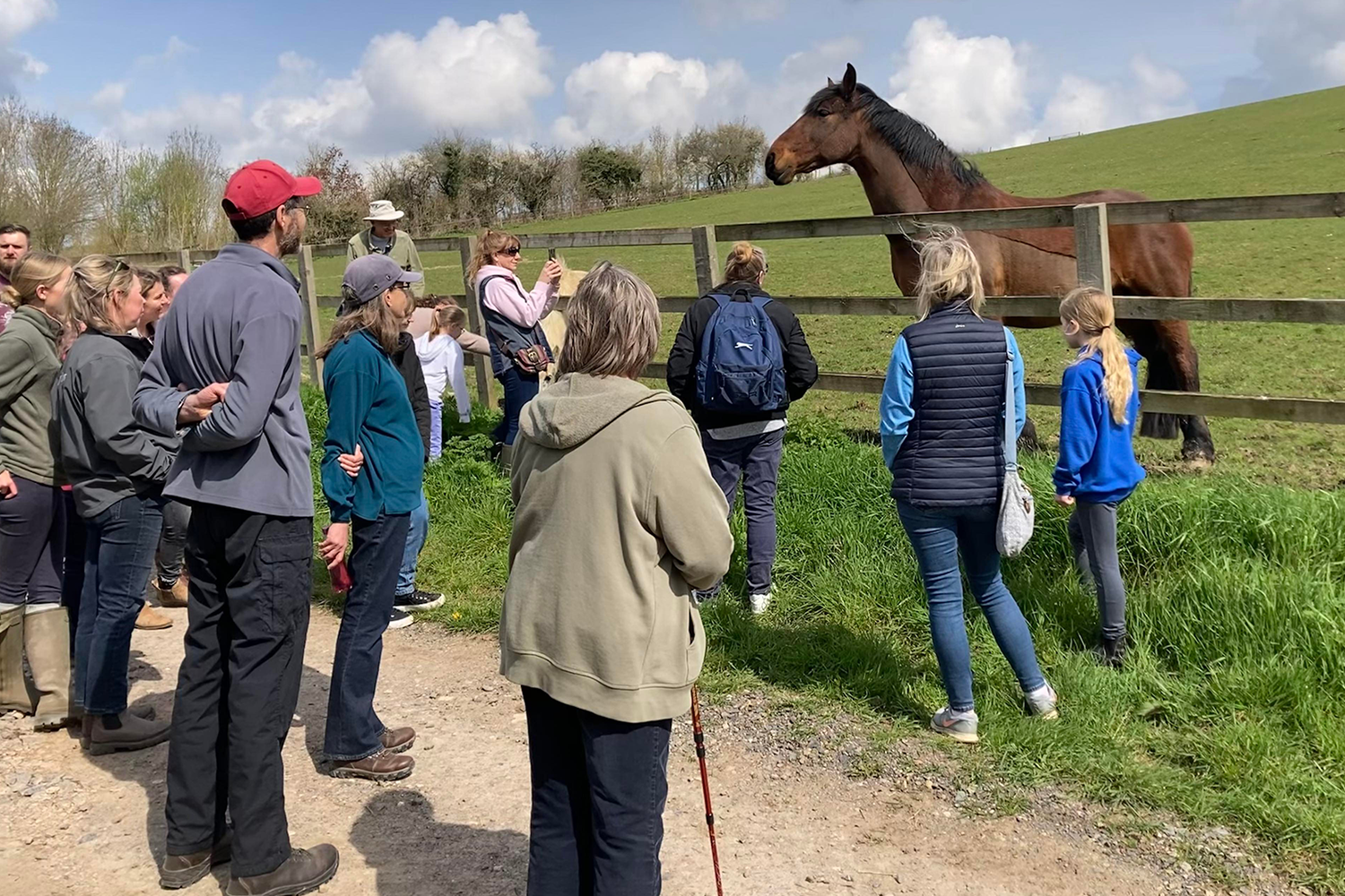 Half Term Fun at Glenda Spooner Farm