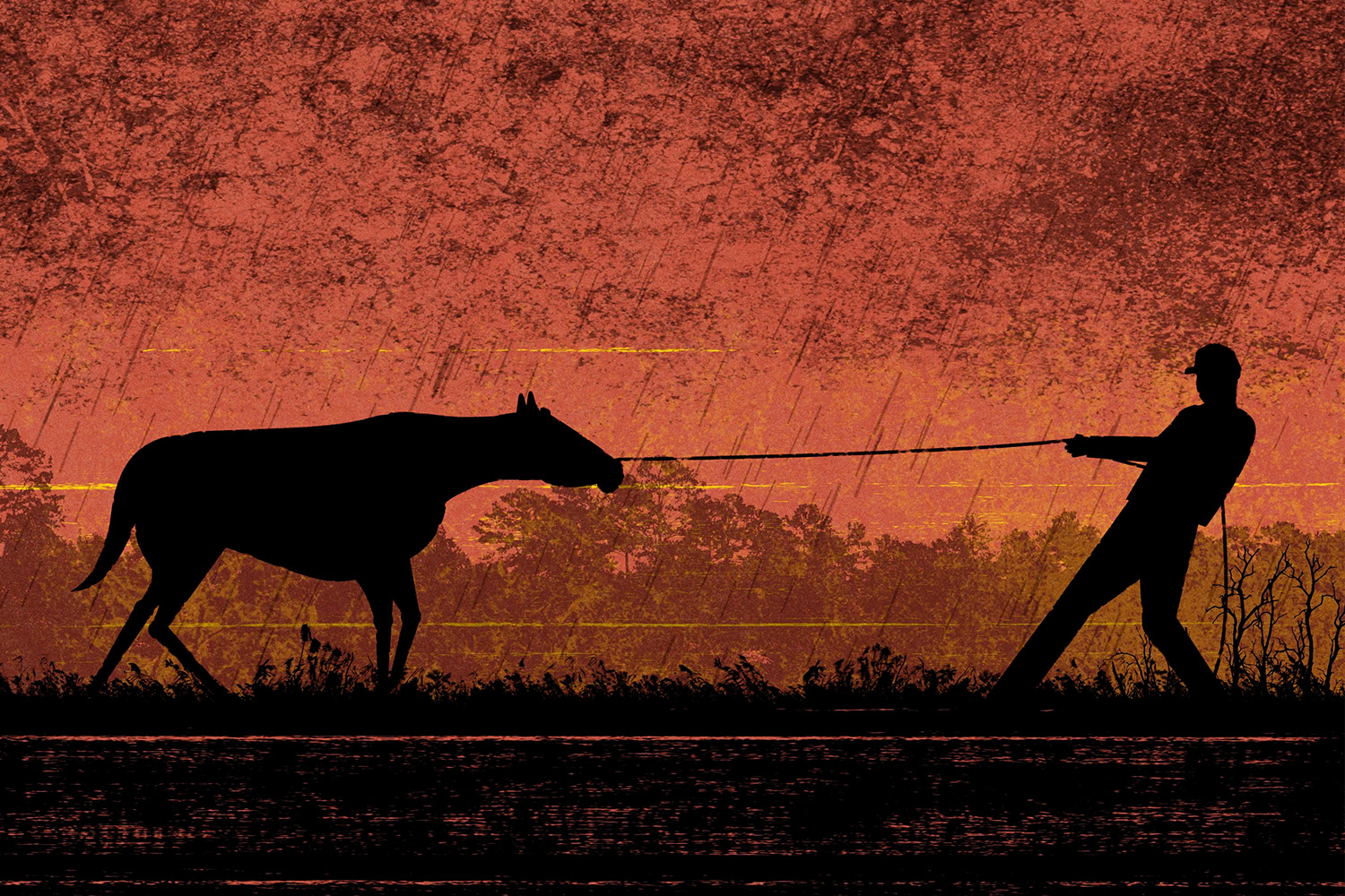 New animation launches our #StopHorseSmuggling campaign