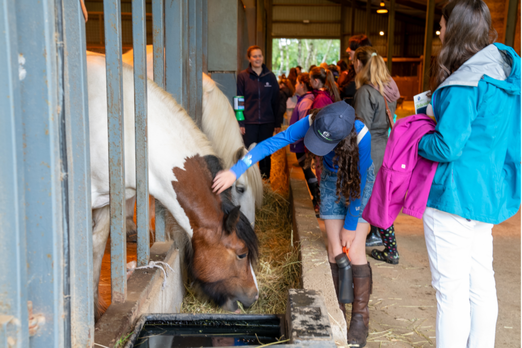 A group of adults and children in an indoor barn of stables listening to a World Horse Welfare groom with one child stroking a piebald pony as it eats hay from a manger