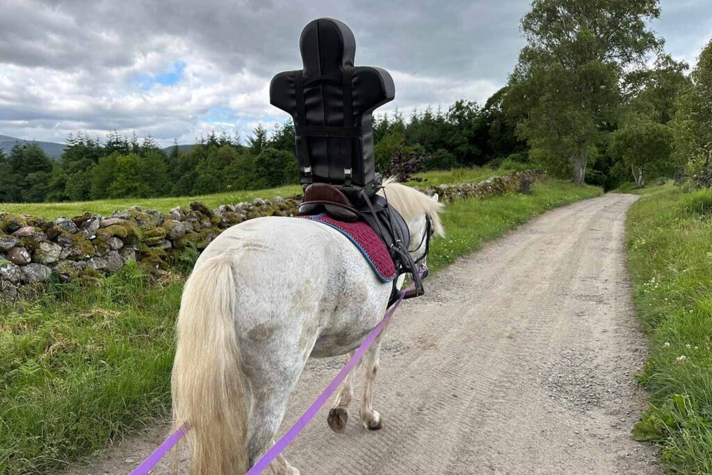 A grey horse walks along a sandy path lined with green verges, carry a dummy rider which is a human shaped too used to mimic the weight of a real rider when horses are being trained.