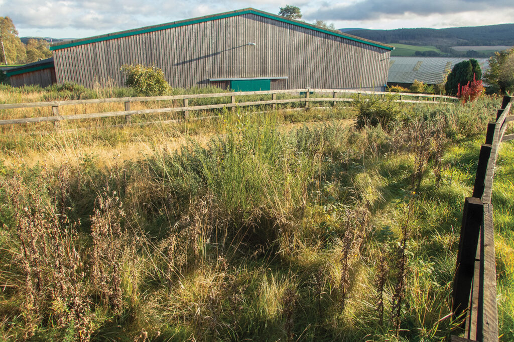 A stretch of green wildlife corridor between wooden post and rail fences with a large barn and hills in the background.