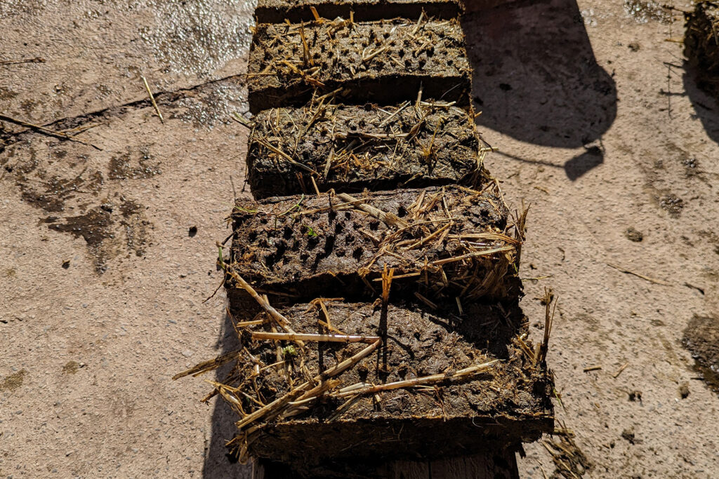 Horse poo and straw shaped into five bricks on a concrete floor.