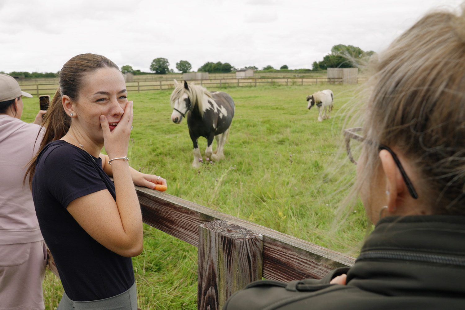 Horses reunited with the women who fought for their survival 