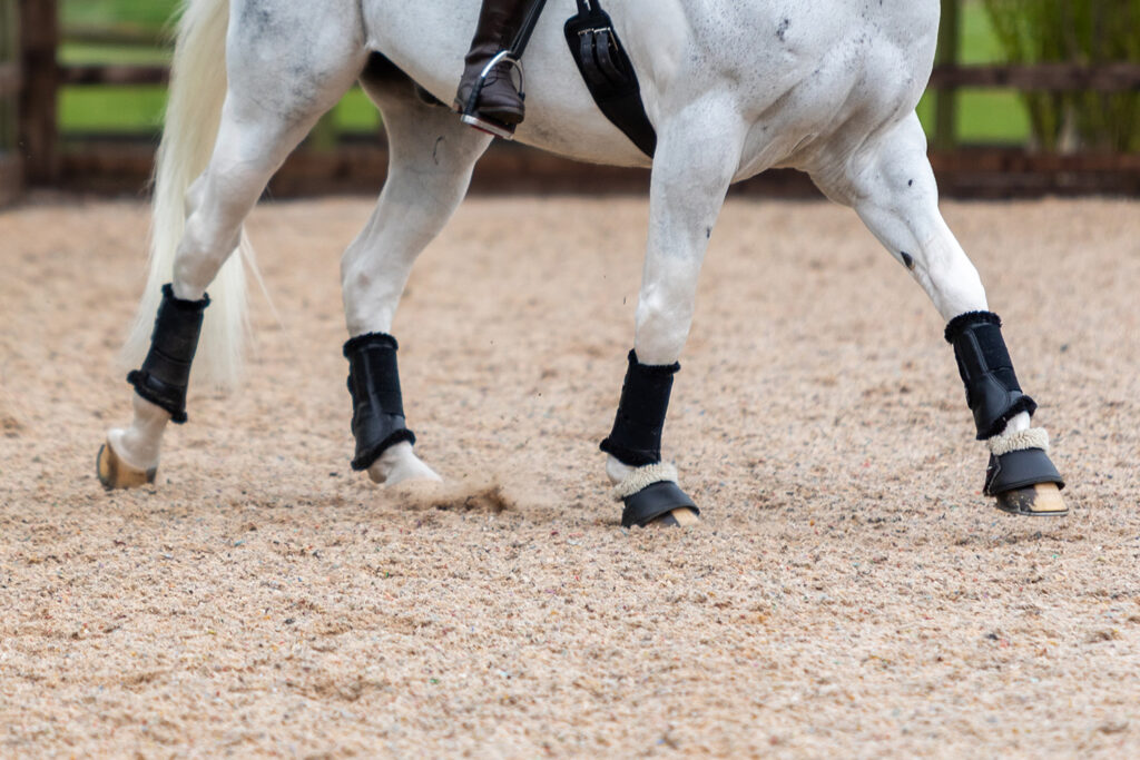 A close up of a grey horse's legs and feet as it moves across an arena