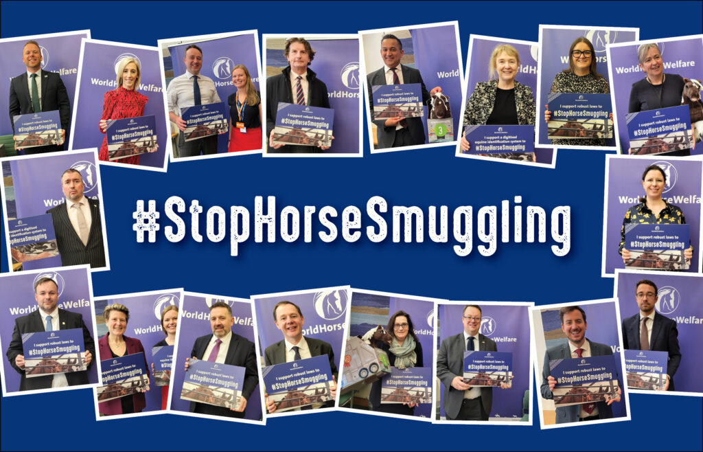 A selection of photos of MPs holding #StopHorseSmuggling signs surround the words #StopHorseSmuggling