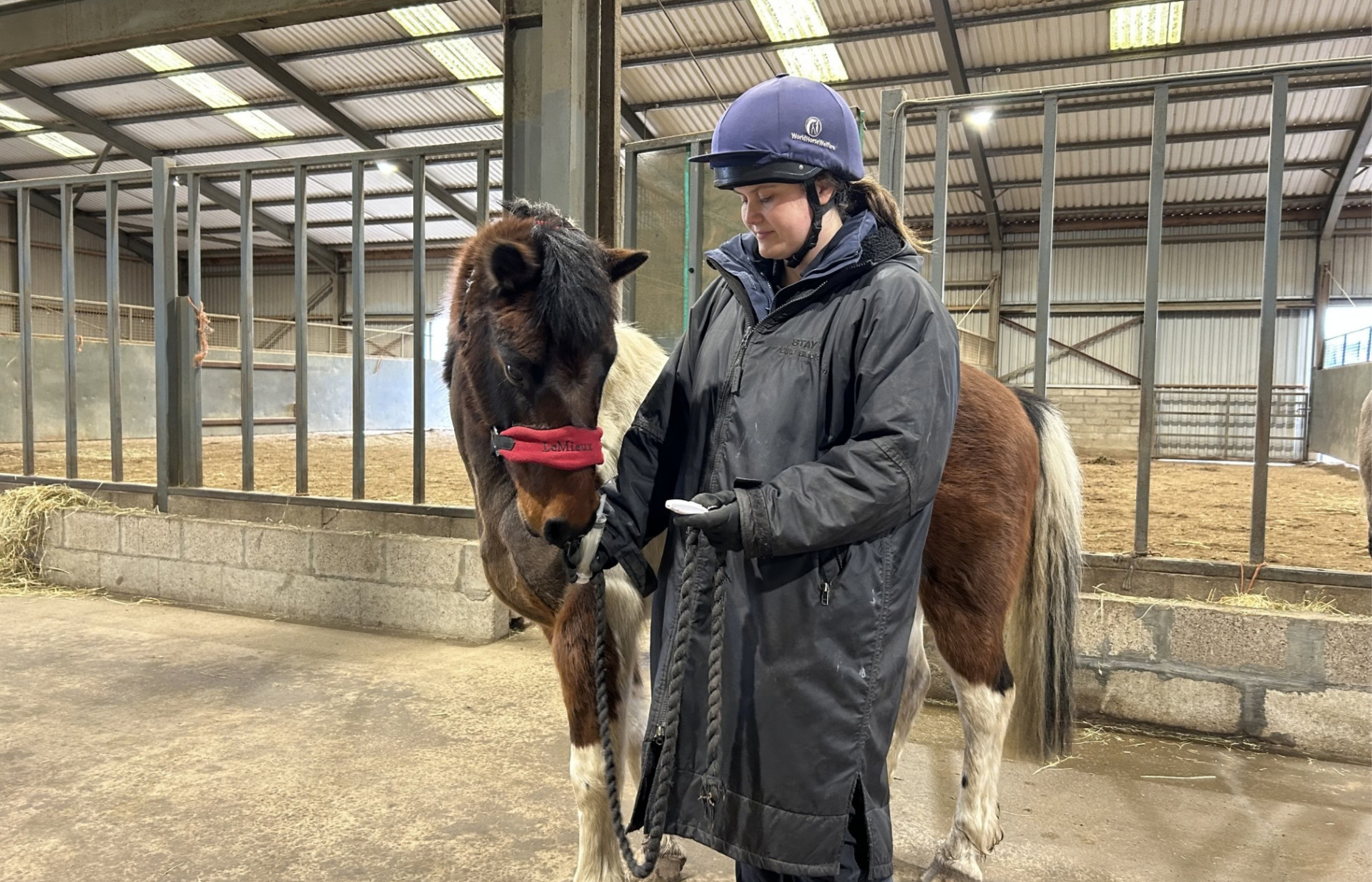 Clicker Training Demonstration and Workshop