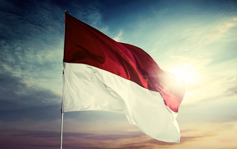 Indonesia’s Great Expectations Remain Unfulfilled - WORLD INSIGHT