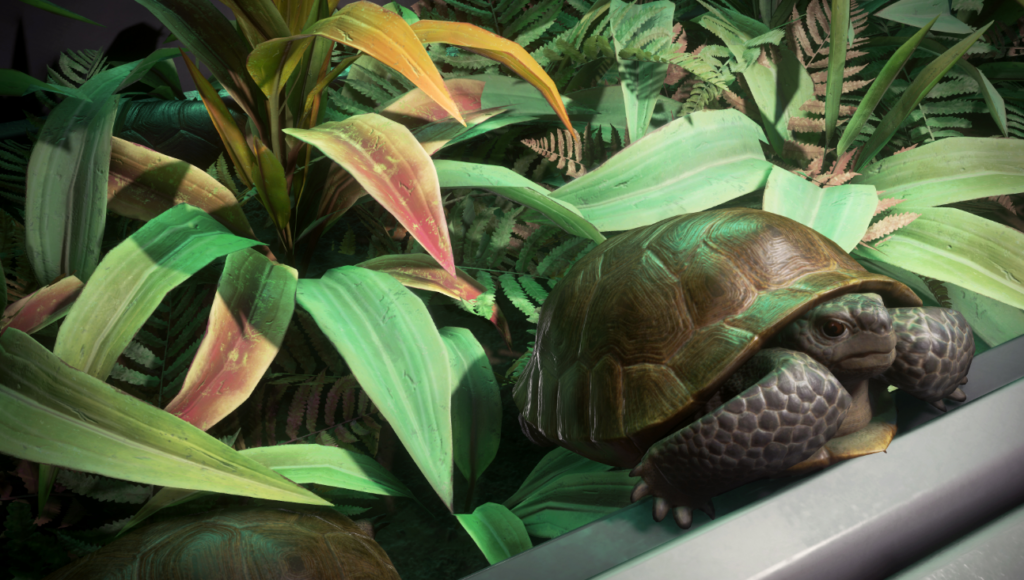 Tortue de Leyland