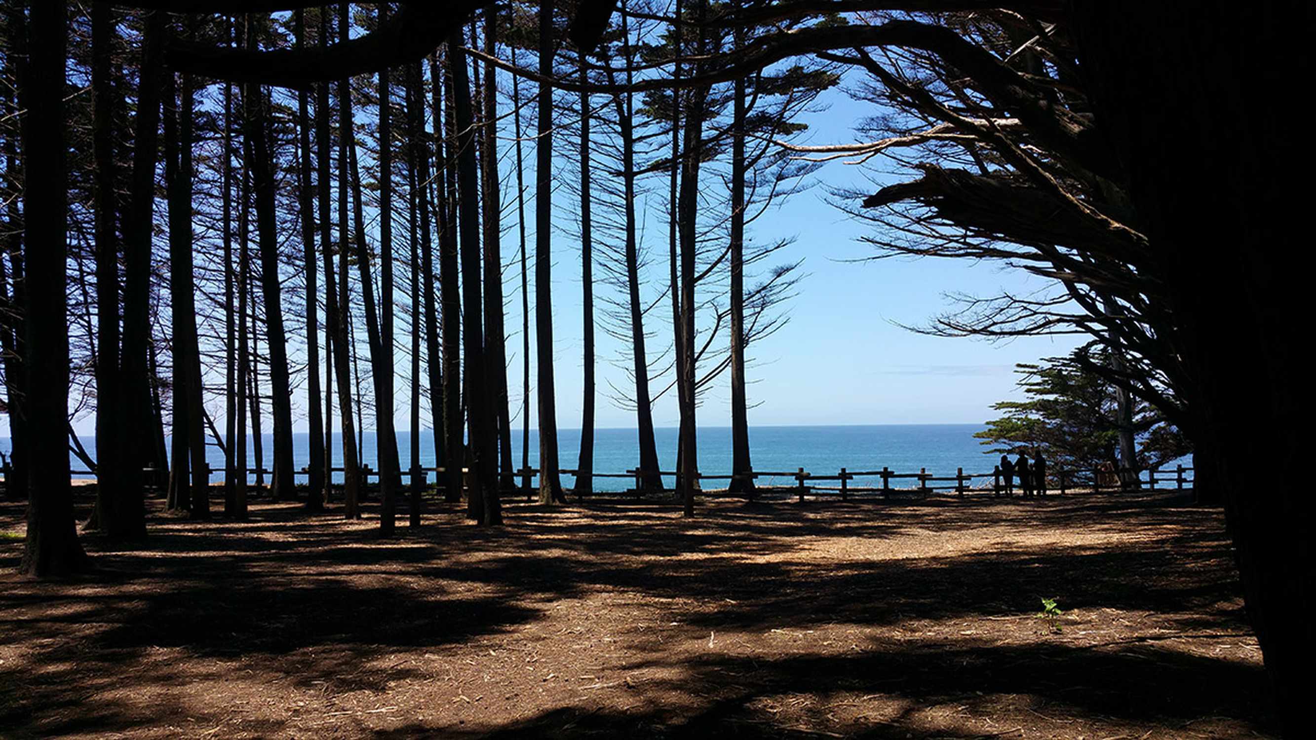 Fitzgerald Marine Reserve - Photo 1