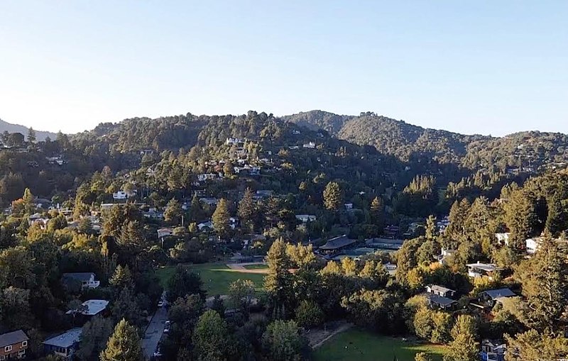 Mill Valley - Photo 1
