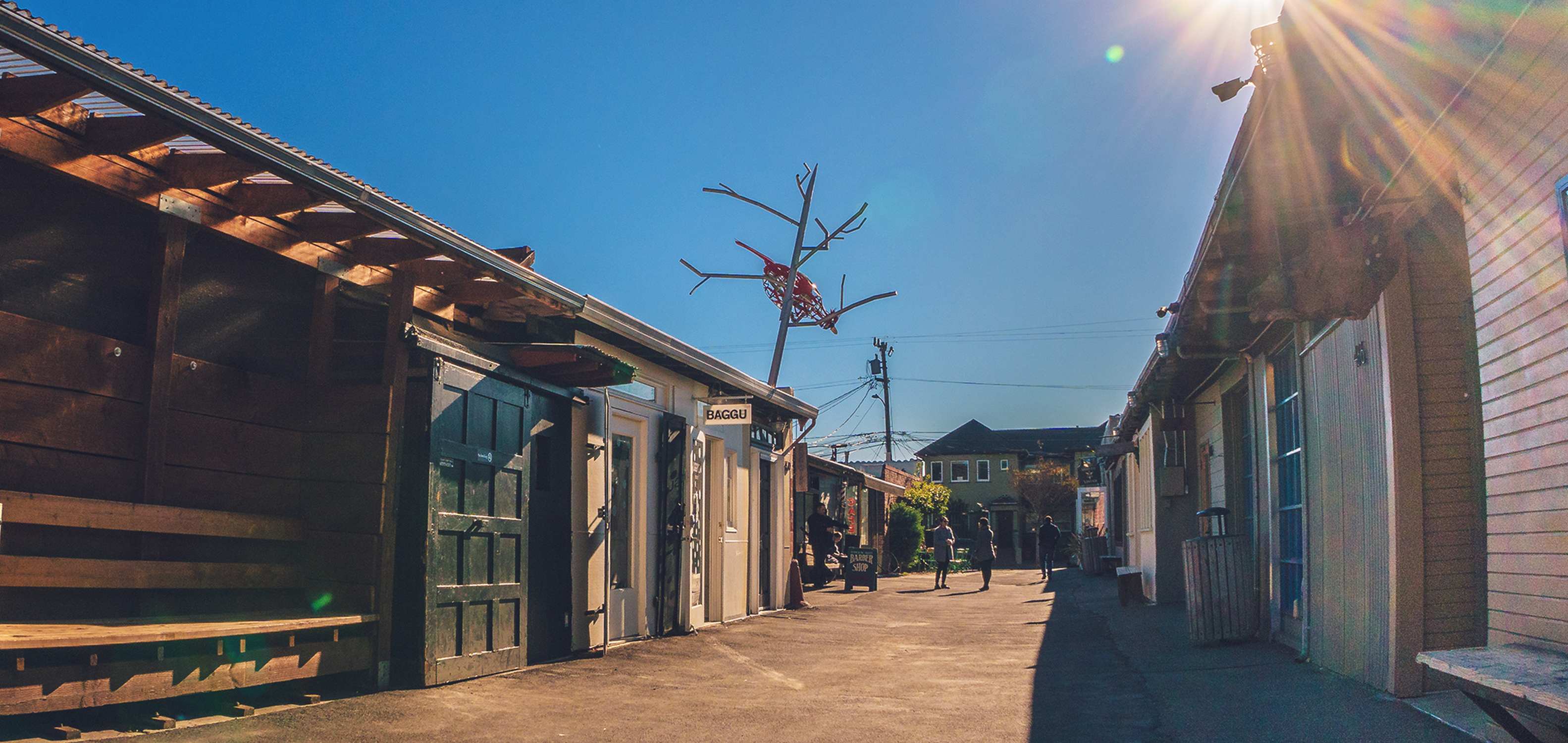 Temescal - Photo 1