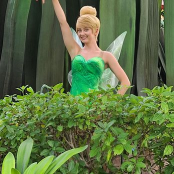 Pixie Hollow - Photo 1
