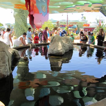 Explorer's Reef - Photo 1