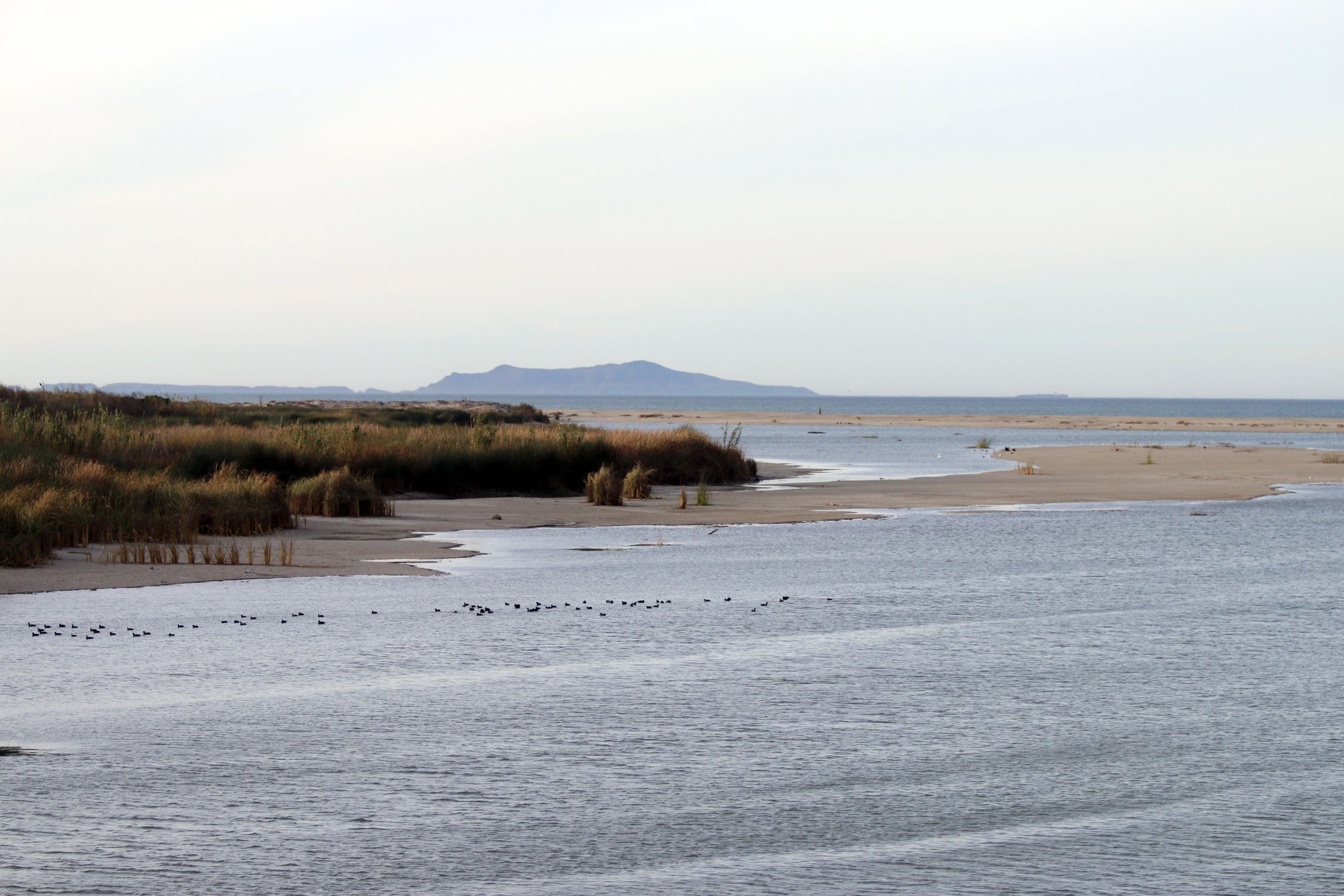 McGrath State Beach - Photo 1
