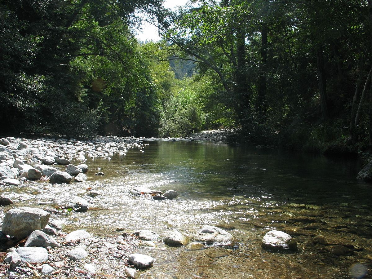 Big Sur River - Photo 1