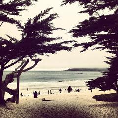 Carmel Beach City Park - Photo 1