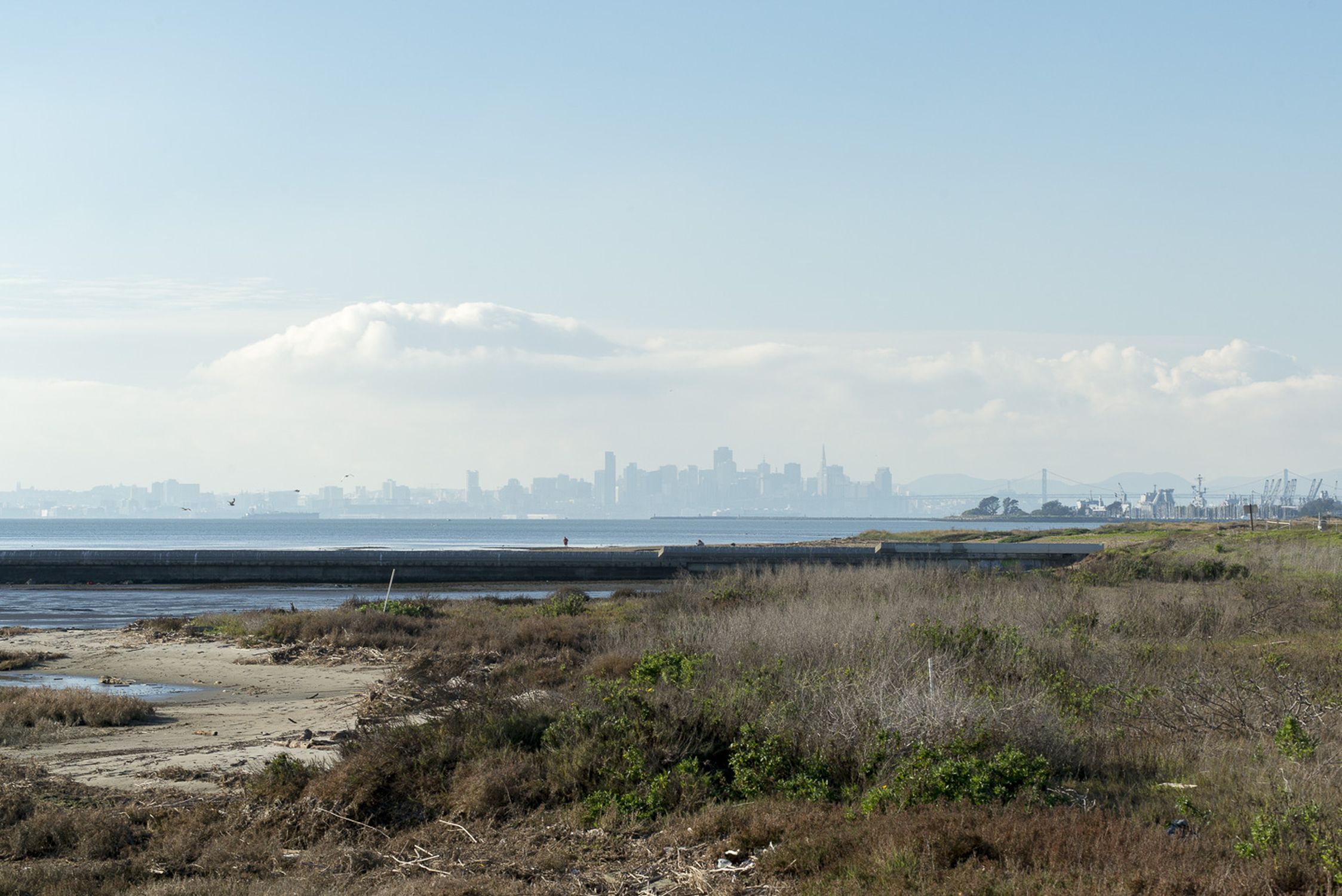 Robert W. Crown Memorial State Beach - Photo 1