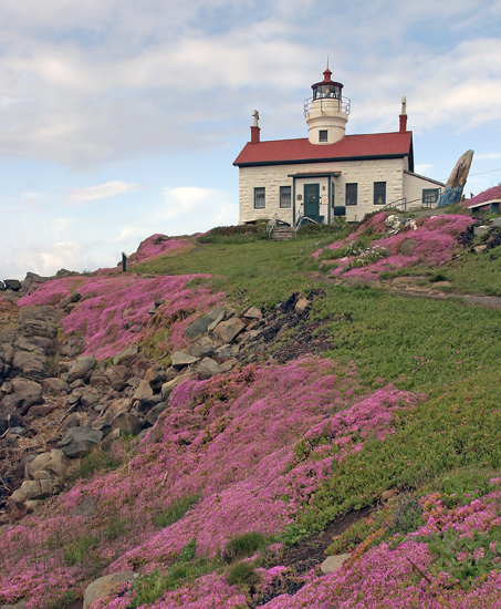 Crescent City Lighthouse - Photo 1