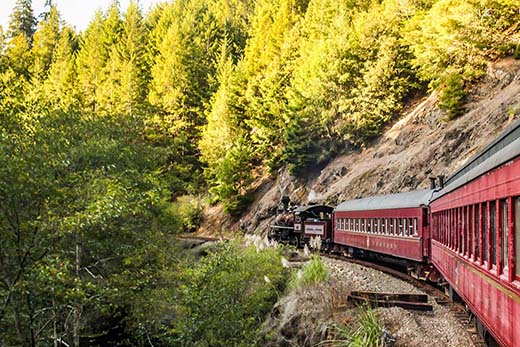 Skunk Train - Photo 1