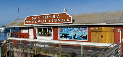 Monterey Bay Whale Watching Center - Photo 1