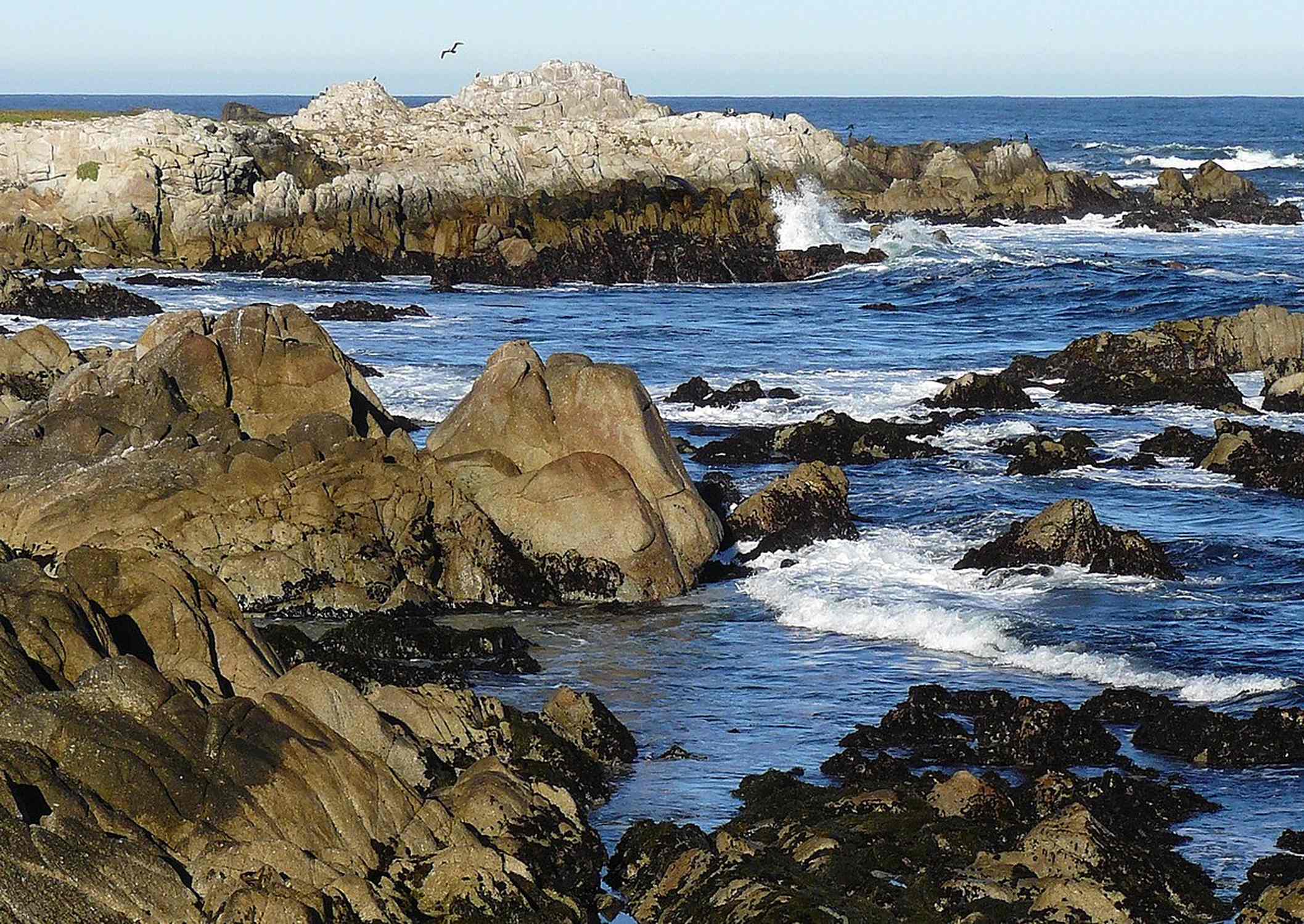 Asilomar State Beach - Photo 1