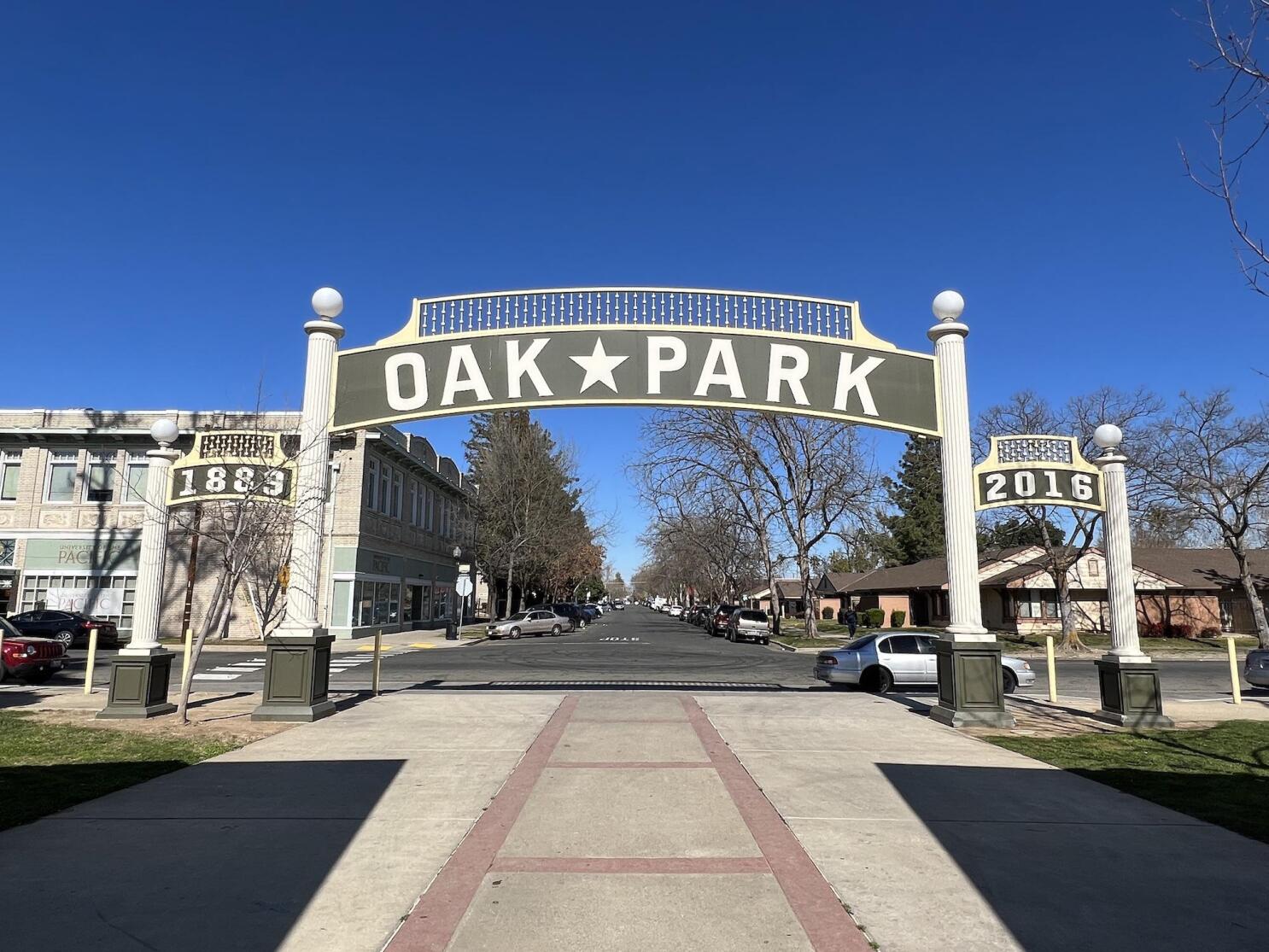 Central Oak Park - Photo 1