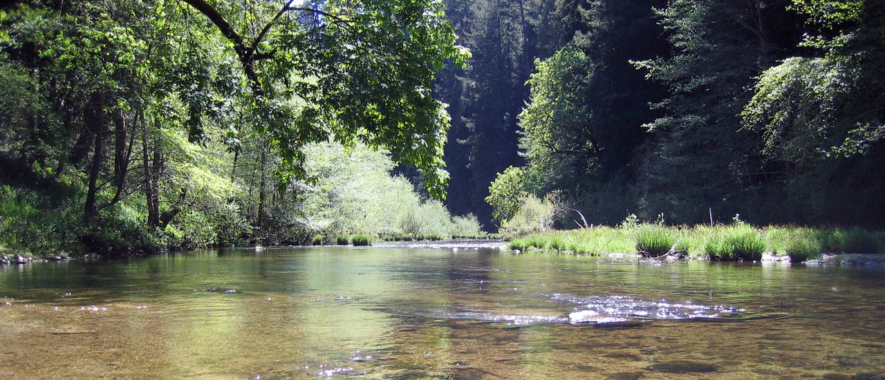San Lorenzo River Open Space - Photo 1