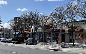 Alum Rock - Photo 1