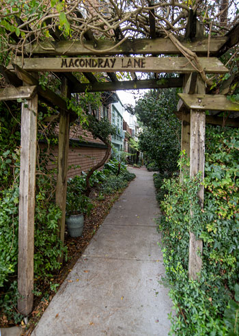Russian Hill-Macondray Lane Historic District - Photo 1