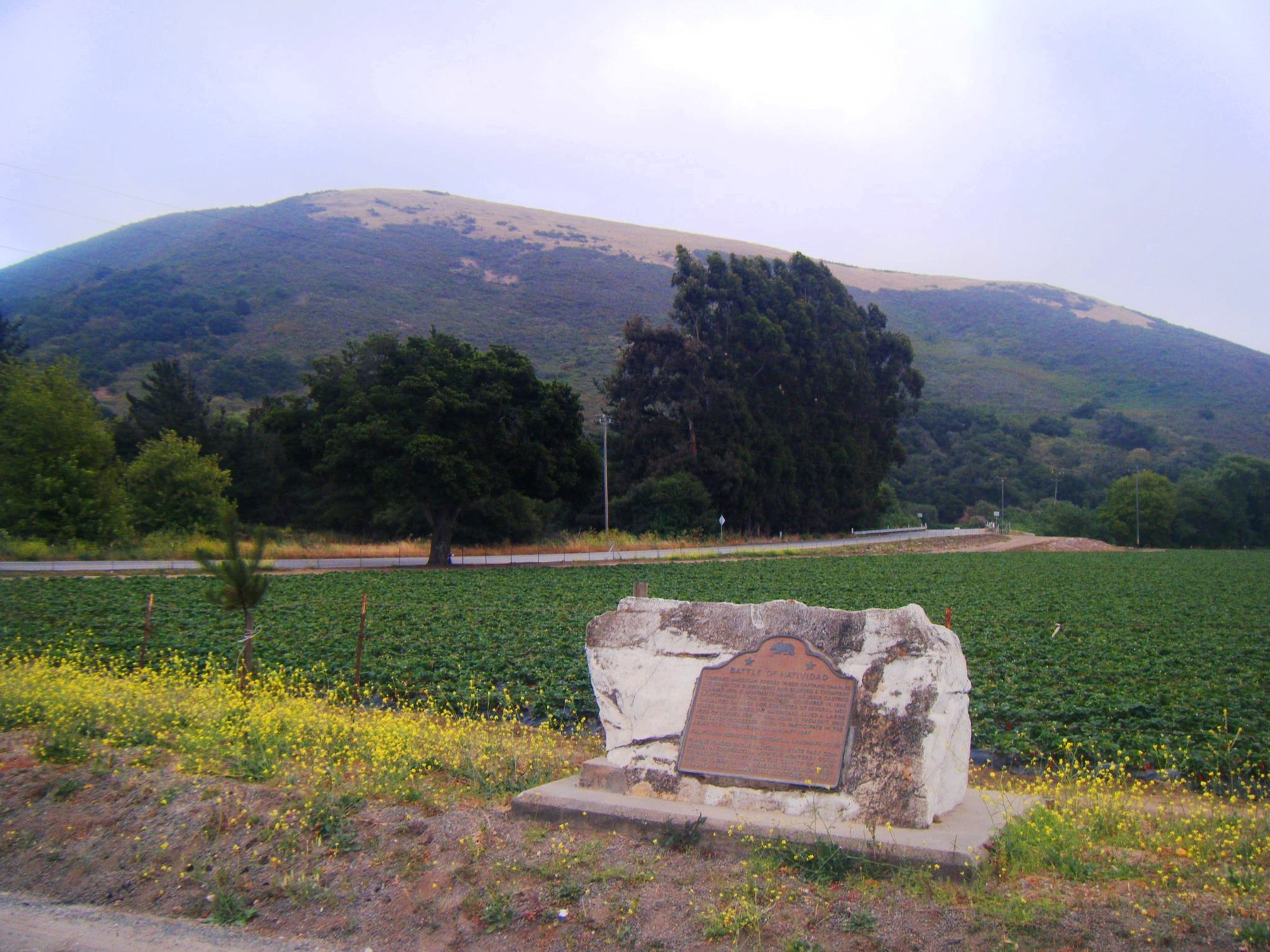 Battle of Natividad State Historic Landmark - Photo 1