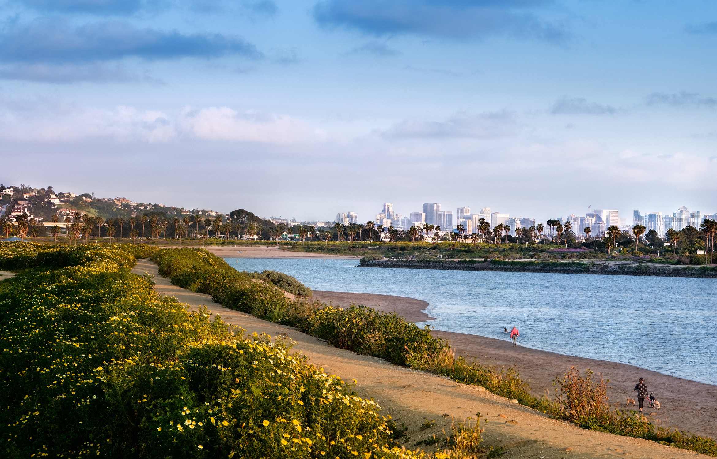 Fiesta Bay - Photo 1