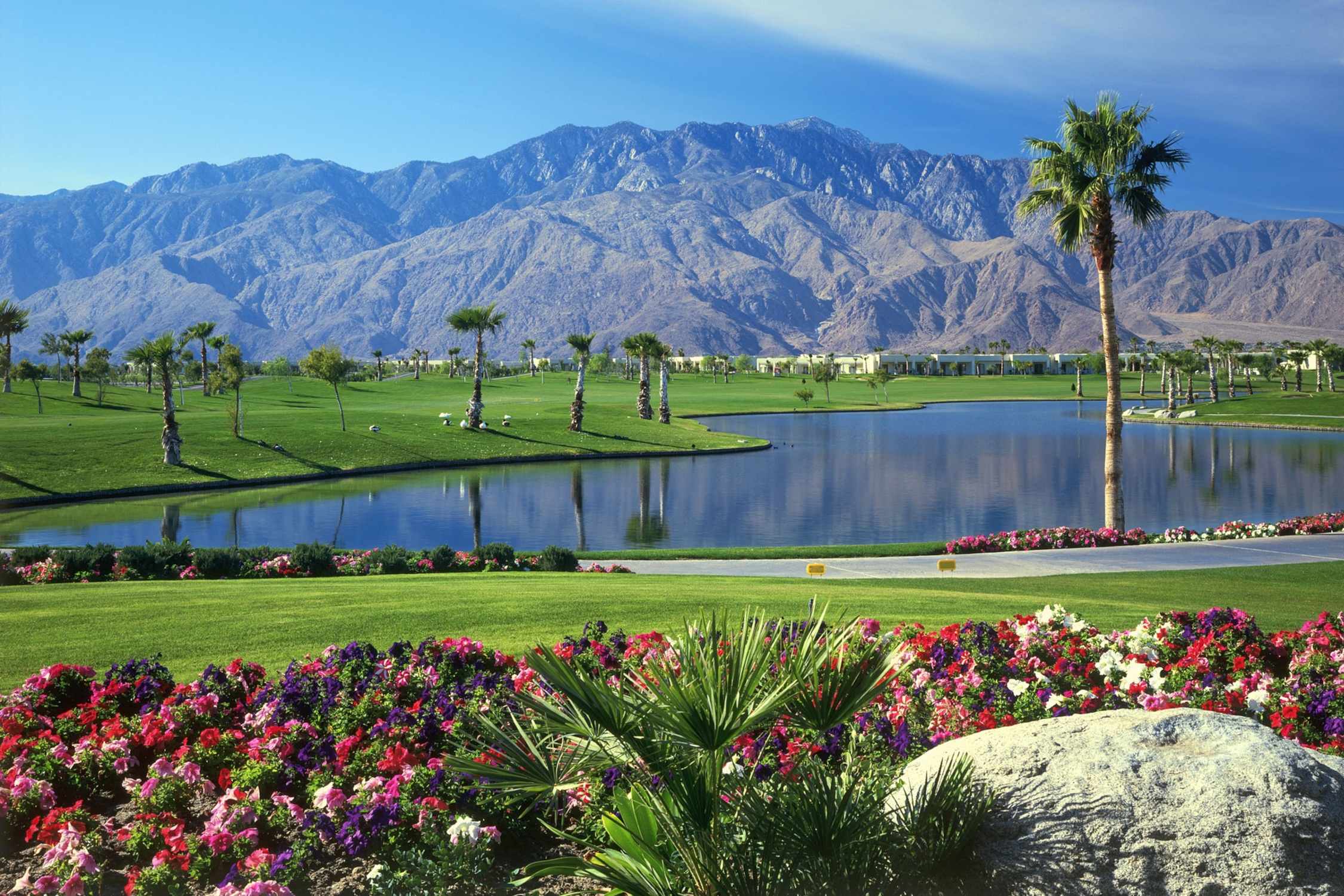 Palm Springs - Photo 1