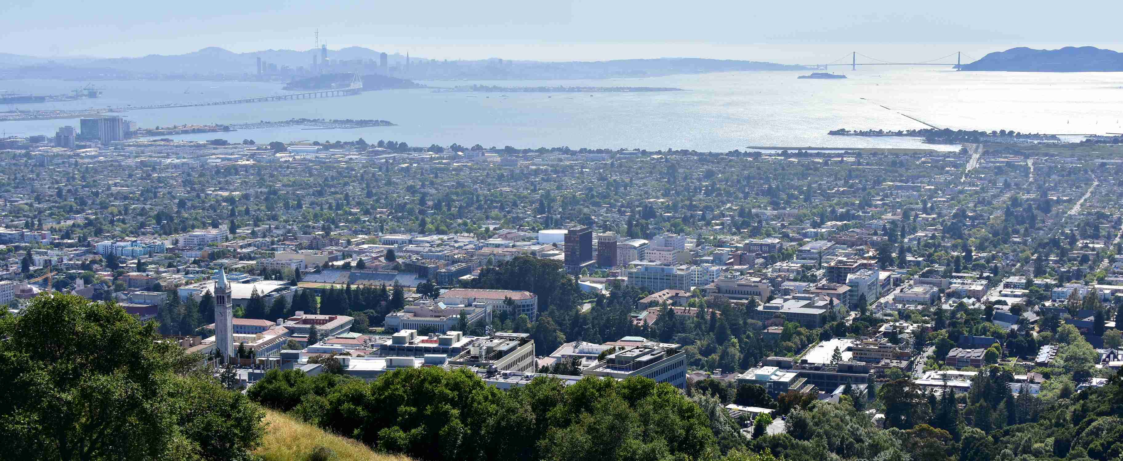 Central Berkeley - Photo 1