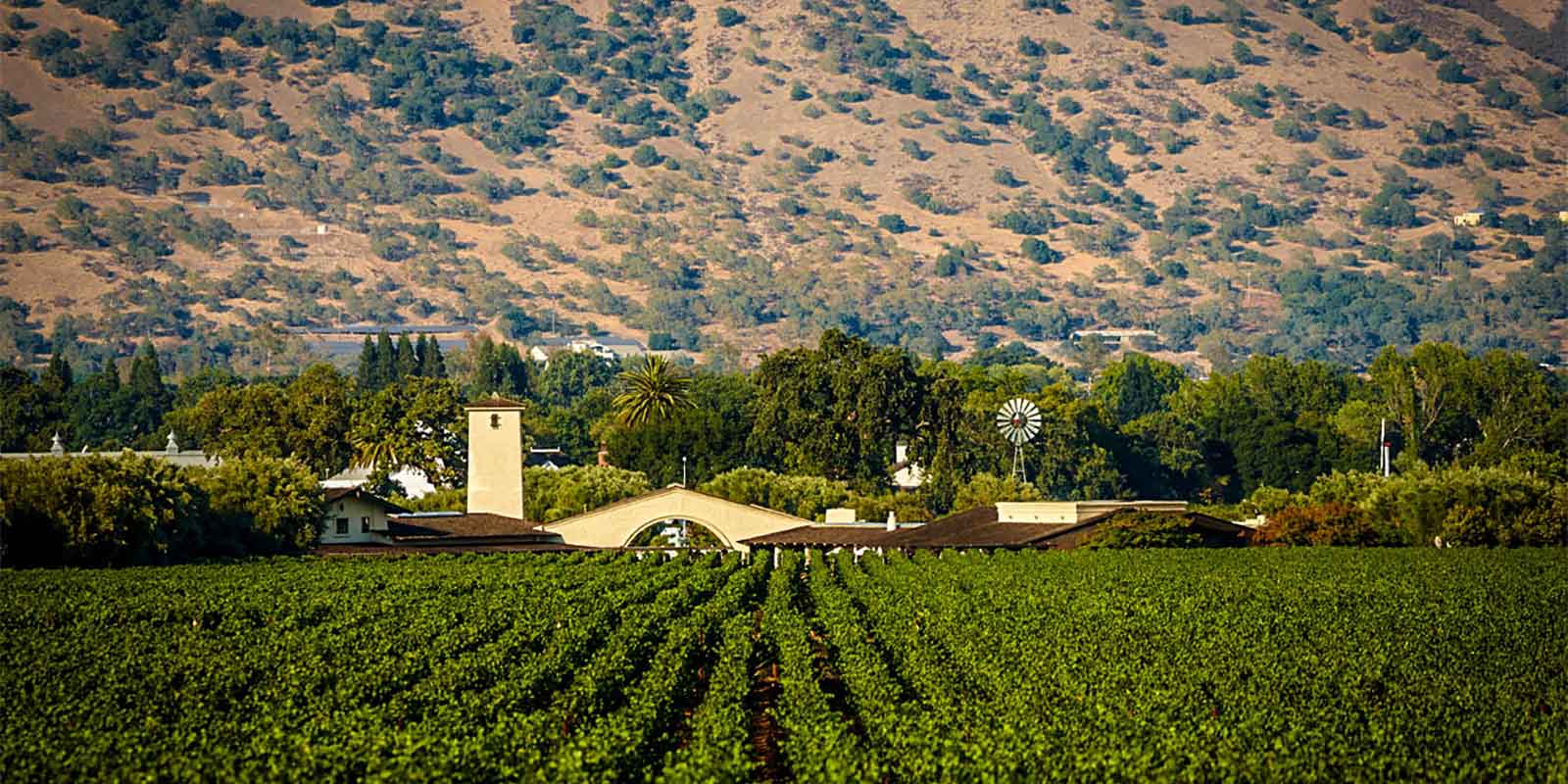 Robert Mondavi Winery - Photo 1