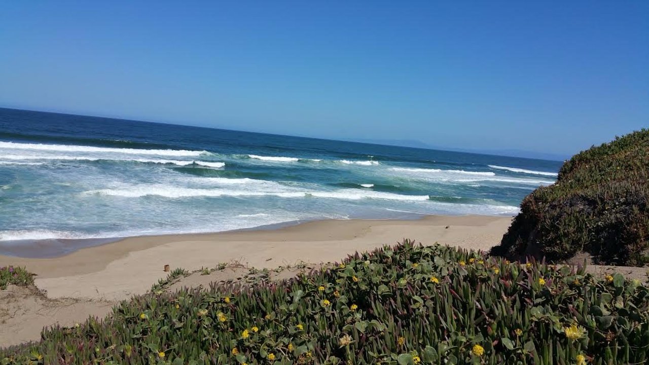 Marina State Beach - Photo 1