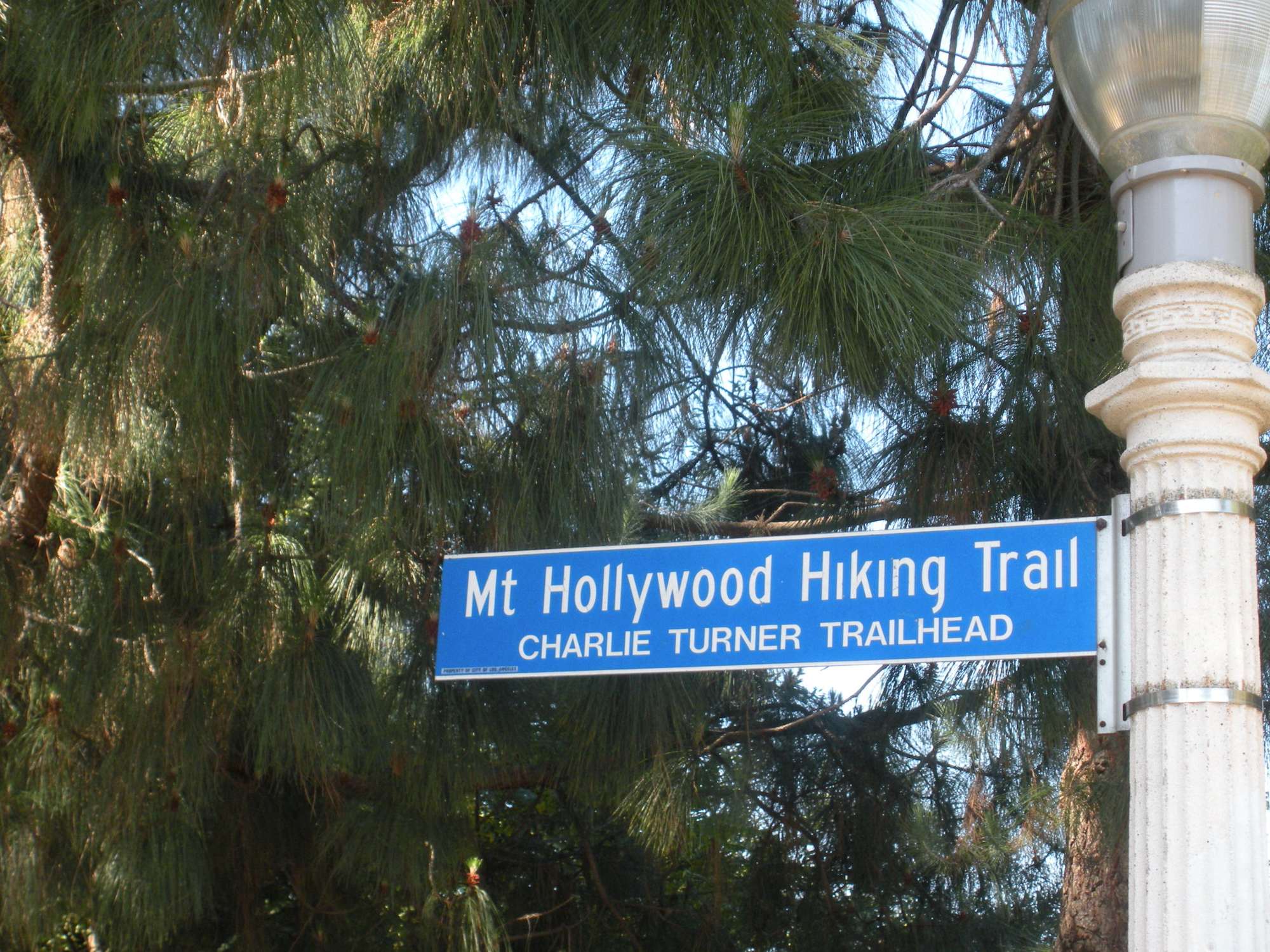 Charlie Turner Trailhead - Photo 1