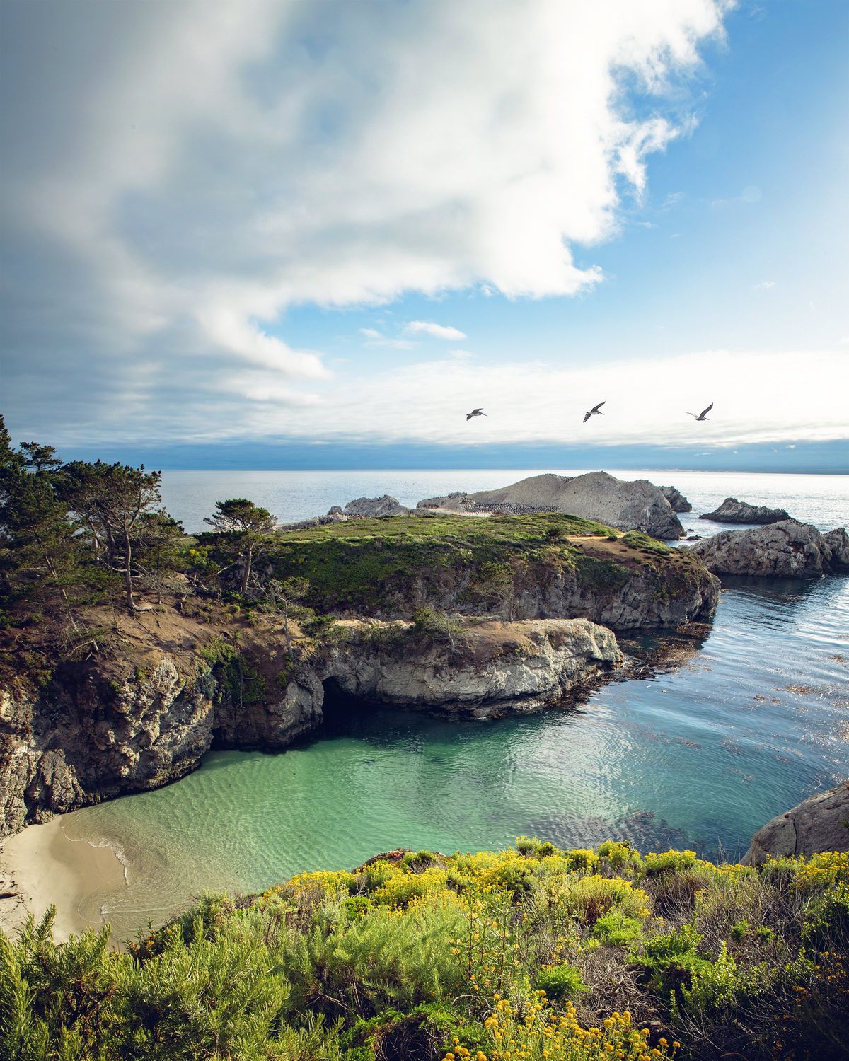 Point Lobos - Photo 1