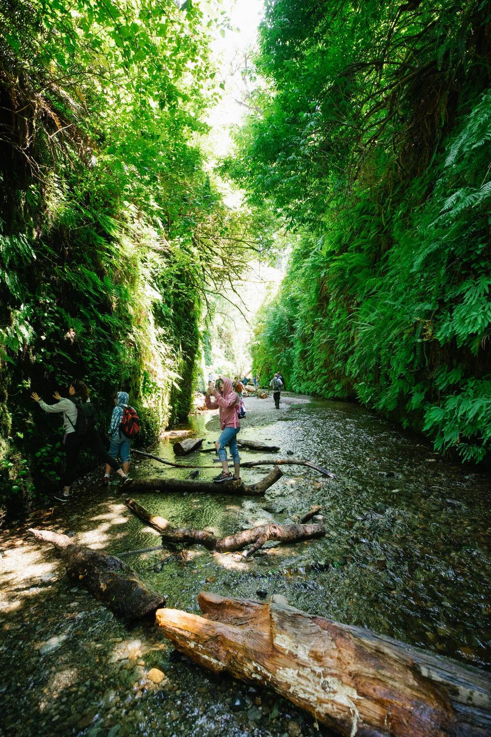 Fern Canyon Trailhead - Photo 1
