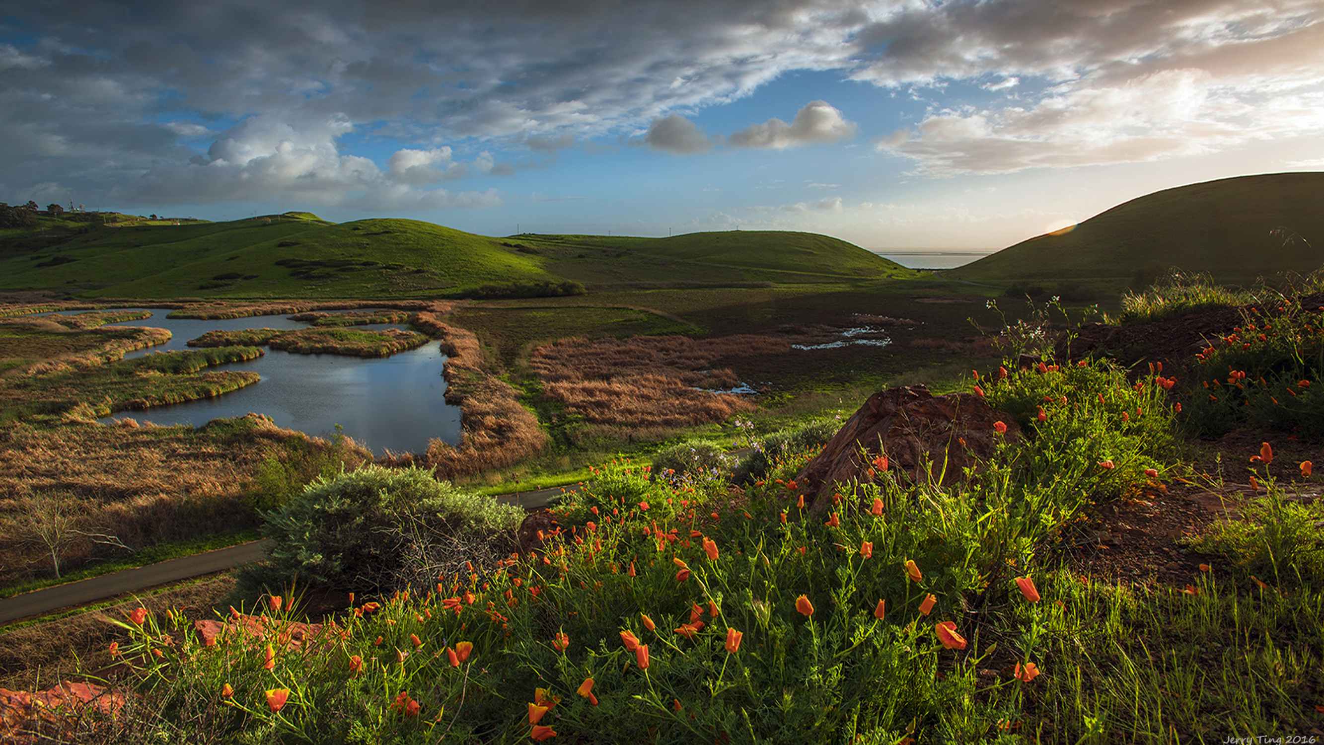 Coyote Hills Regional Park - Photo 1