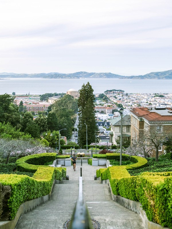 Pacific Heights - Photo 1