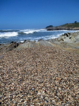 Pebble Beach - Photo 1