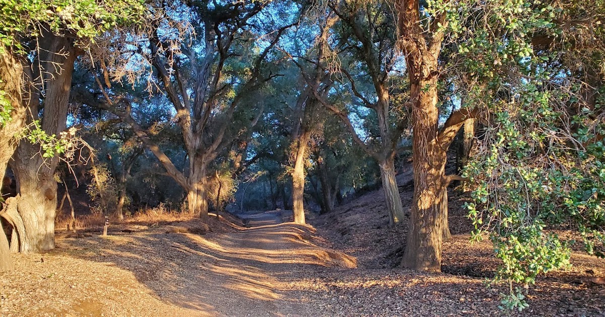 Wildwood Canyon State Park - Photo 1