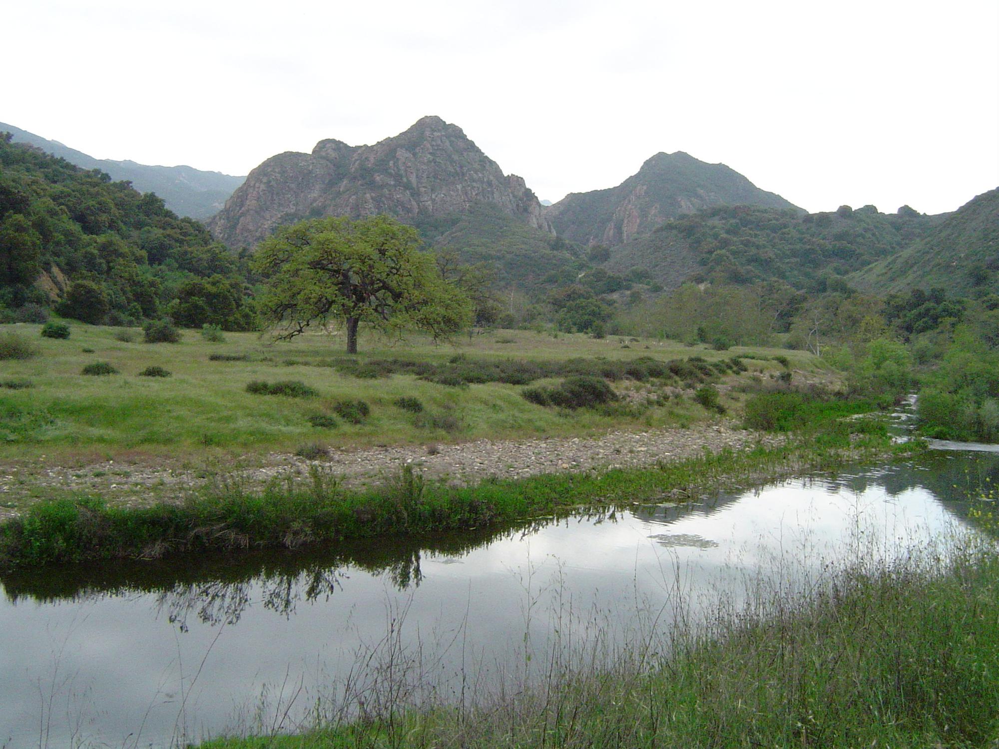 Malibu Creek State Park - Photo 1