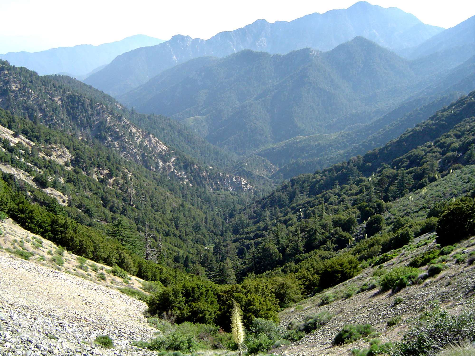 Angeles National Forest - Photo 1