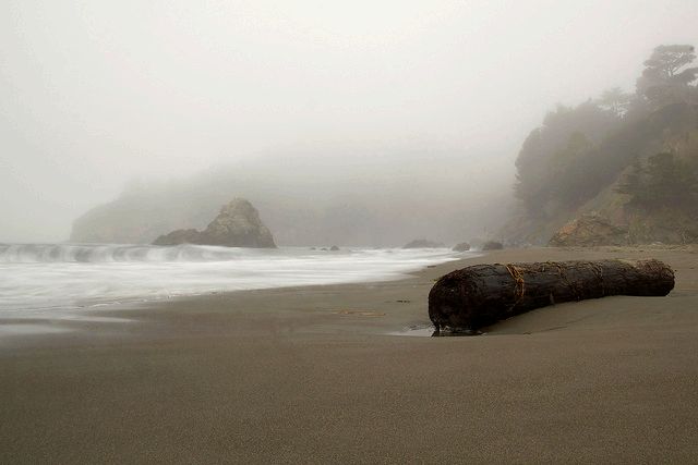 Muir Beach (GGNRA) - Photo 1
