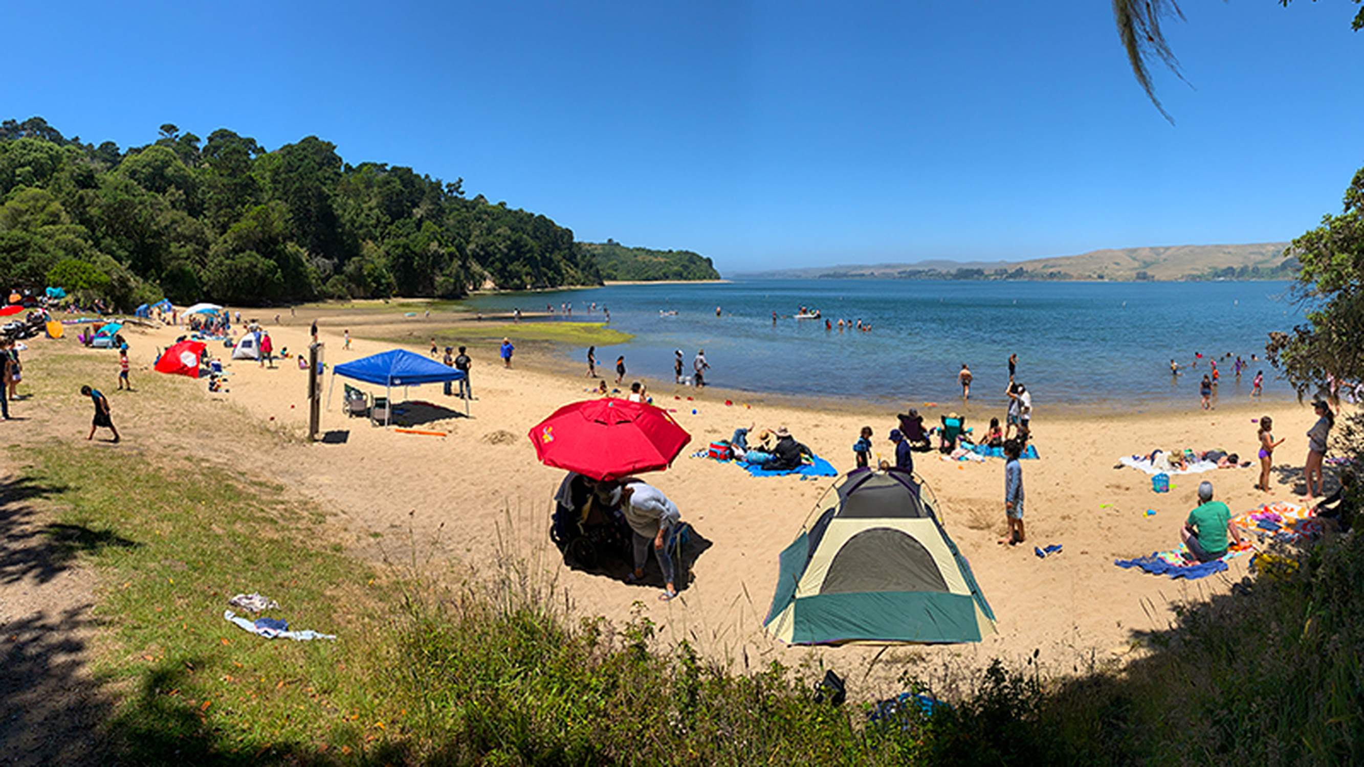 Tomales Bay State Park - Photo 1