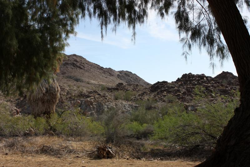 Chuckwalla Mountains Wilderness - Photo 1