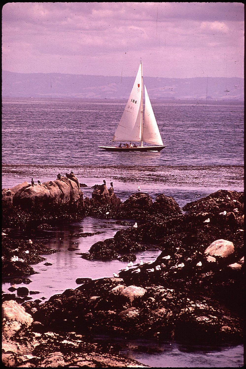 Edward F. Ricketts State Marine Conservation Area - Photo 1
