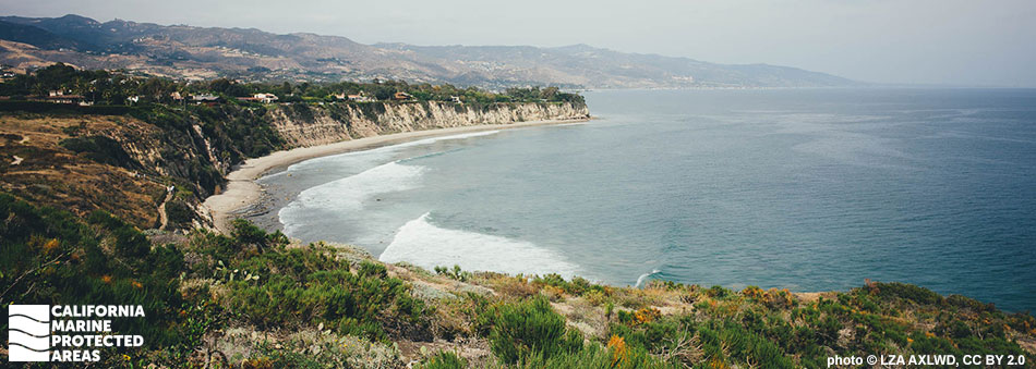 Point Dume State Marine Reserve - Photo 1